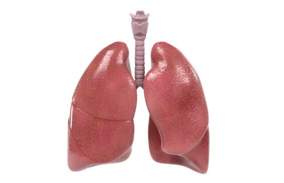 Pneumonectomy Cost in India | Pneumonectomy Cost in Hyderabad Pneumonectomy Cost in India | Pneumonectomy Cost in Hyderabad