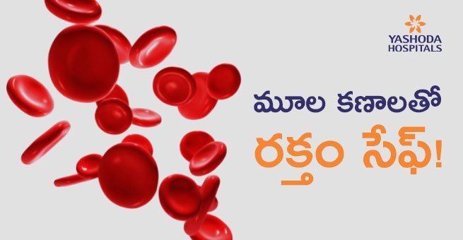 మూల కణాలతో రక్తం సేఫ్!
