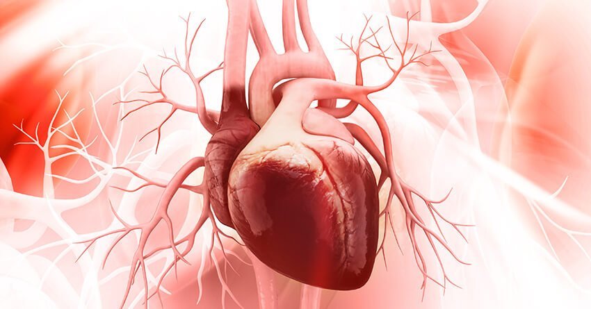 Adult Congenital Heart Disease Symptoms-Treatement