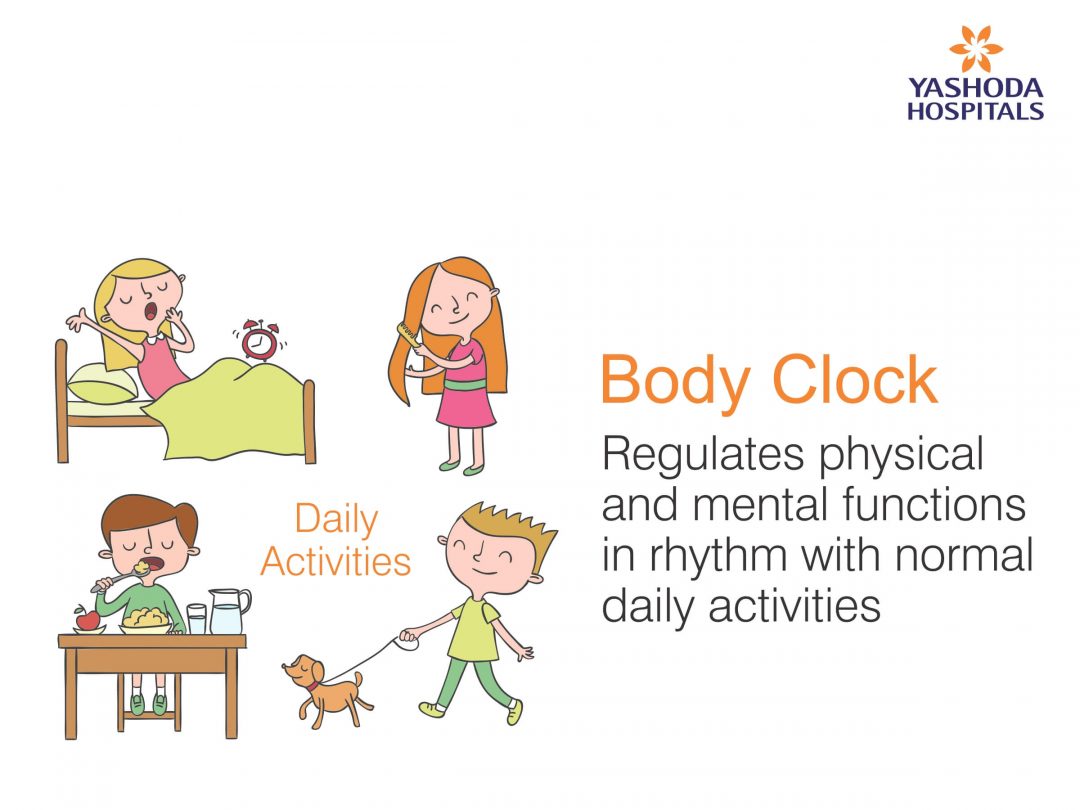 What is Circadian Rhythm? Body Clock Human Biological Clock