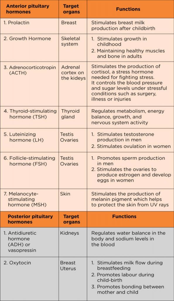 Pituitary Disorders: Types, Causes, Symptoms, Diagnosis and Treatment