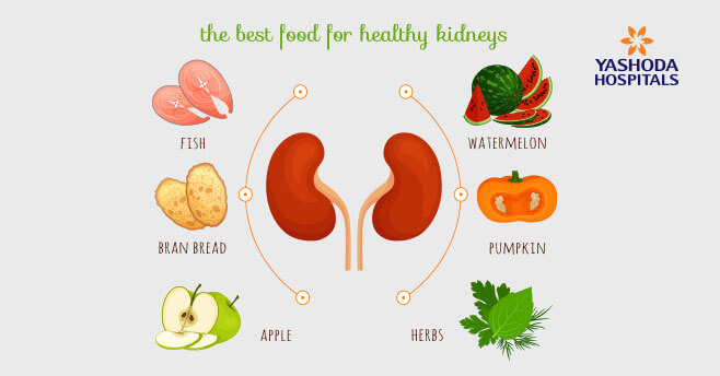 Best Food Healthy Kidneys Information Banner Stock Vector, 43% OFF