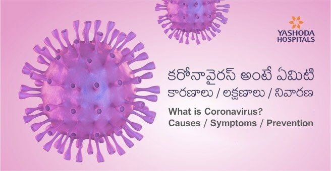 about coronavirus in telugu essay