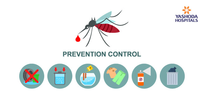 dengue-prevention