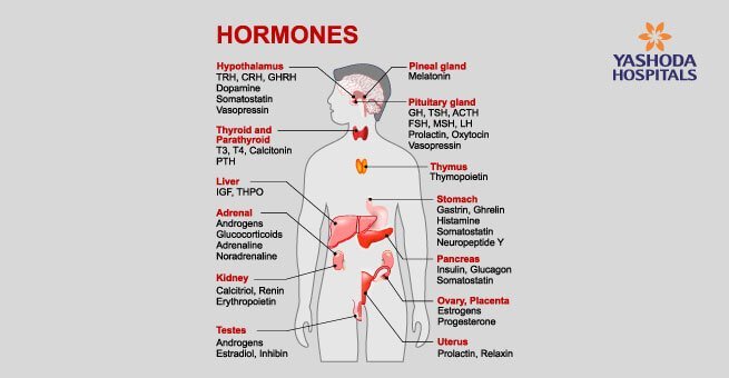 What is the most common endocrine related illness?