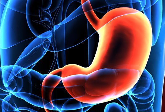 Gastric Cancer Surgery Cost in india